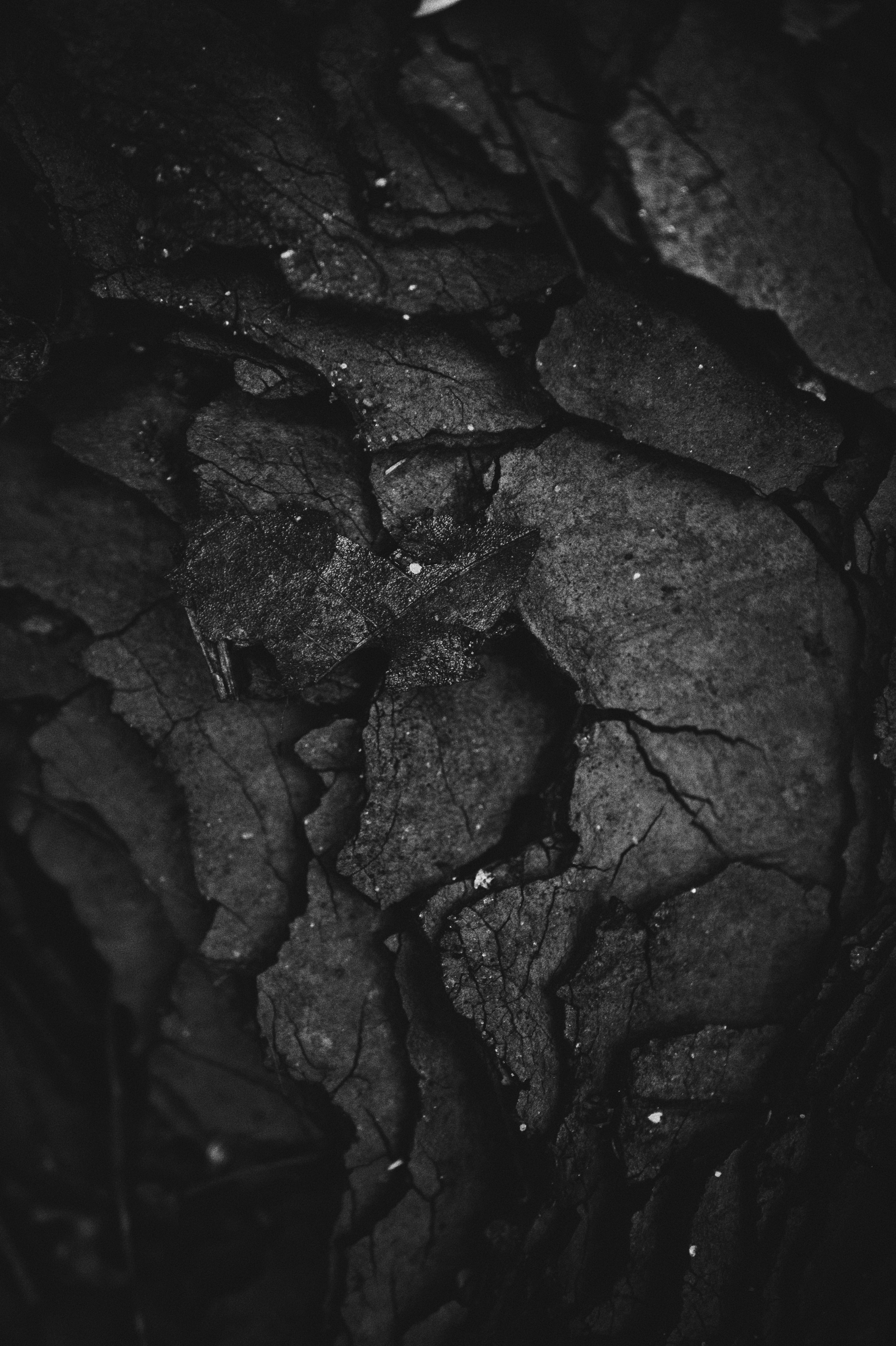Close up image of coal with defined cracks and layers